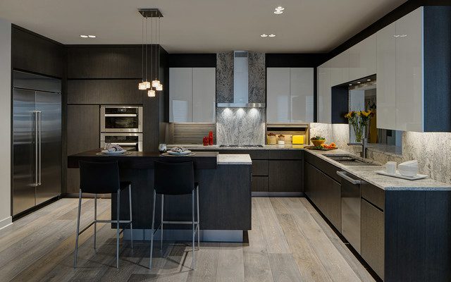 Sleek Contemporary Kitchen Design